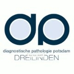 Logo Diagnostische Pathologie Potsdam